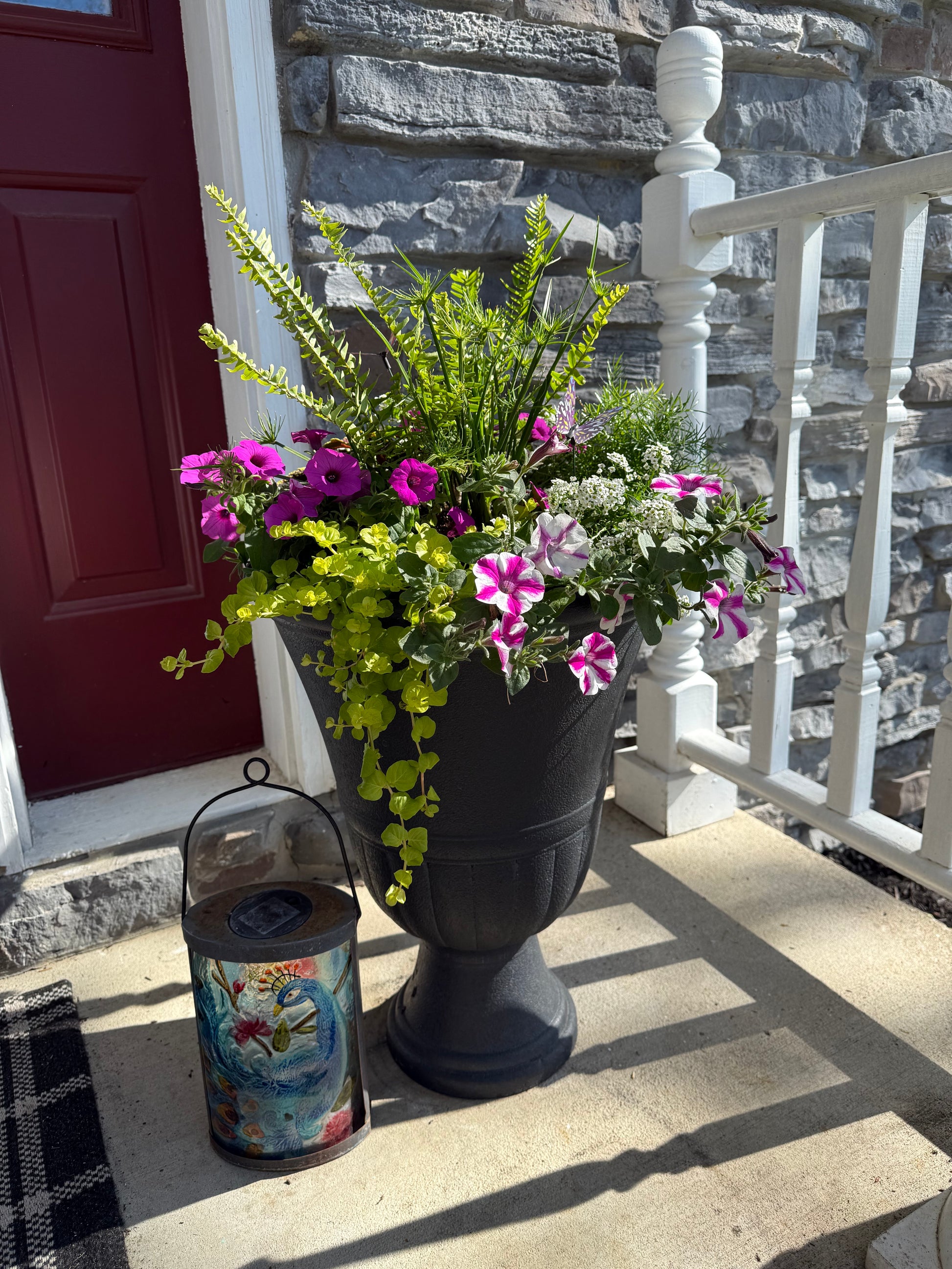 the potted planter Summer Crush